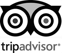 Tripadvisor logo with stylized owl eyes and text.